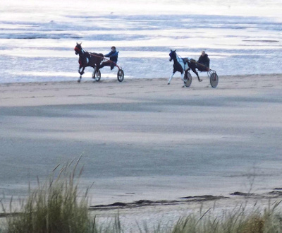 Horse Trotting on Greatstone Beach